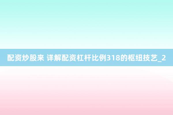 配资炒股来 详解配资杠杆比例318的枢纽技艺_2