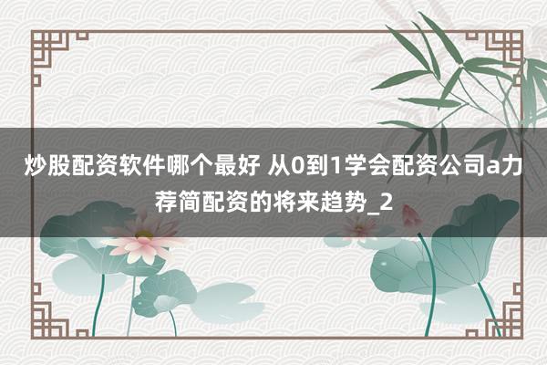 炒股配资软件哪个最好 从0到1学会配资公司a力荐简配资的将来趋势_2