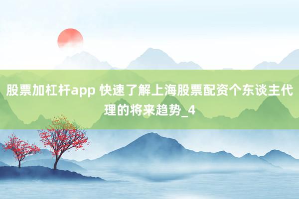 股票加杠杆app 快速了解上海股票配资个东谈主代理的将来趋势_4
