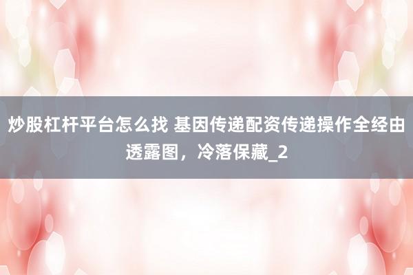 炒股杠杆平台怎么找 基因传递配资传递操作全经由透露图，冷落保藏_2