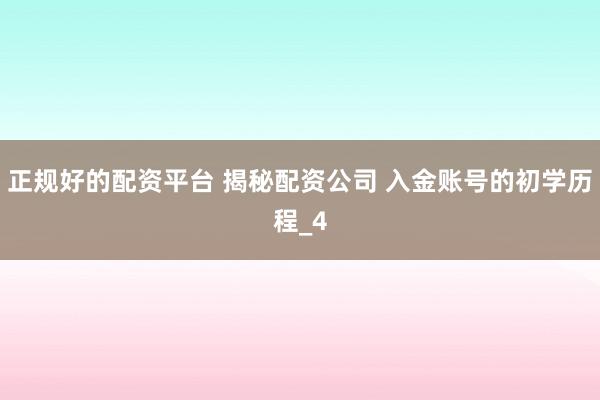 正规好的配资平台 揭秘配资公司 入金账号的初学历程_4