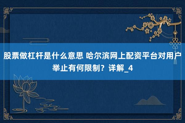 股票做杠杆是什么意思 哈尔滨网上配资平台对用户举止有何限制？详解_4