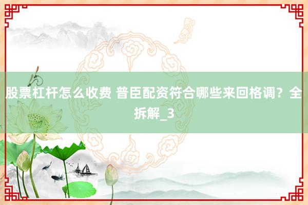 股票杠杆怎么收费 普臣配资符合哪些来回格调？全拆解_3