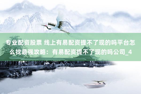 专业配资股票 线上有易配资提不了现的吗平台怎么找最强攻略：有易配资提不了现的吗公司_4