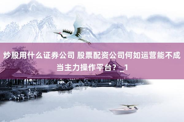 炒股用什么证券公司 股票配资公司何如运营能不成当主力操作平台？_1