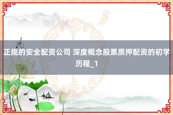 正规的安全配资公司 深度概念股票质押配资的初学历程_1