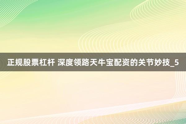 正规股票杠杆 深度领路天牛宝配资的关节妙技_5