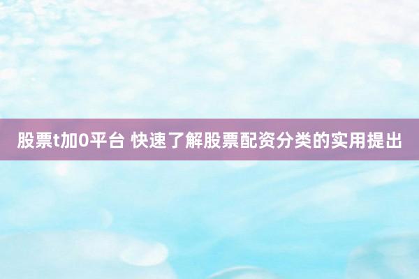 股票t加0平台 快速了解股票配资分类的实用提出