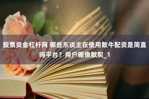 股票资金杠杆网 哪些东谈主在使用散牛配资是简直吗平台？用户画像默契_1