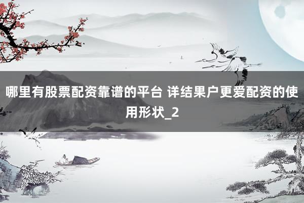 哪里有股票配资靠谱的平台 详结果户更爱配资的使用形状_2
