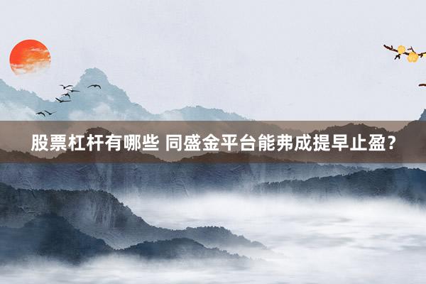 股票杠杆有哪些 同盛金平台能弗成提早止盈？