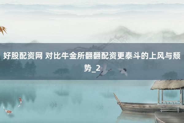 好股配资网 对比牛金所翻翻配资更泰斗的上风与颓势_2