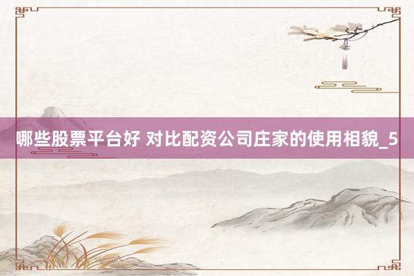 哪些股票平台好 对比配资公司庄家的使用相貌_5
