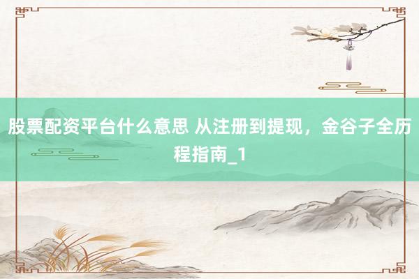 股票配资平台什么意思 从注册到提现，金谷子全历程指南_1