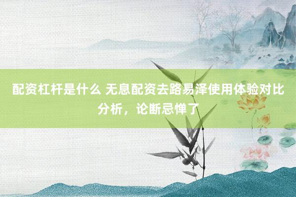 配资杠杆是什么 无息配资去路易泽使用体验对比分析，论断忌惮了
