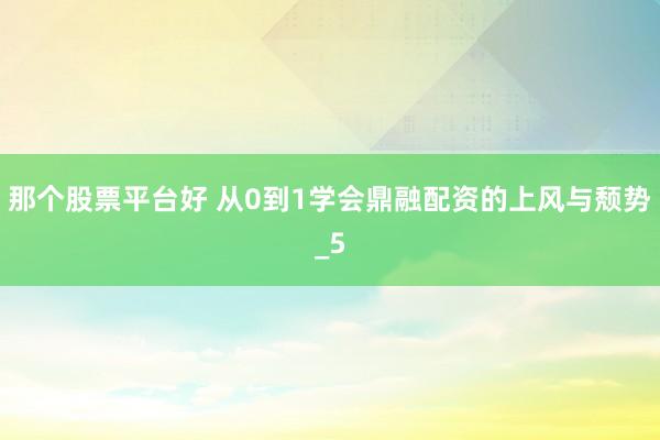 那个股票平台好 从0到1学会鼎融配资的上风与颓势_5