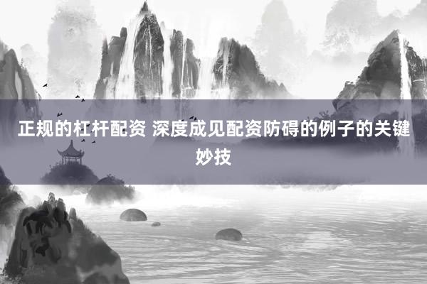 正规的杠杆配资 深度成见配资防碍的例子的关键妙技
