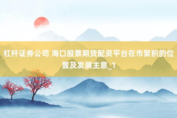 杠杆证券公司 海口股票期货配资平台在市聚积的位置及发展主意_1