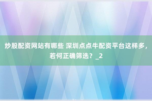 炒股配资网站有哪些 深圳点点牛配资平台这样多，若何正确筛选？_2