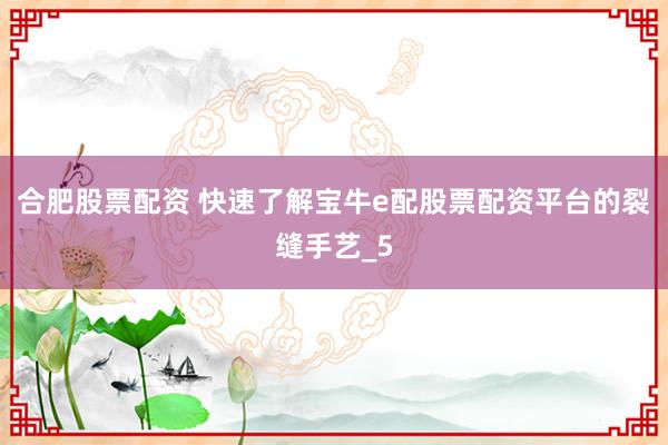 合肥股票配资 快速了解宝牛e配股票配资平台的裂缝手艺_5