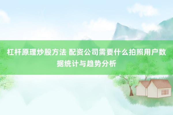 杠杆原理炒股方法 配资公司需要什么拍照用户数据统计与趋势分析