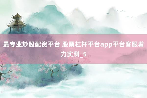 最专业炒股配资平台 股票杠杆平台app平台客服着力实测_5